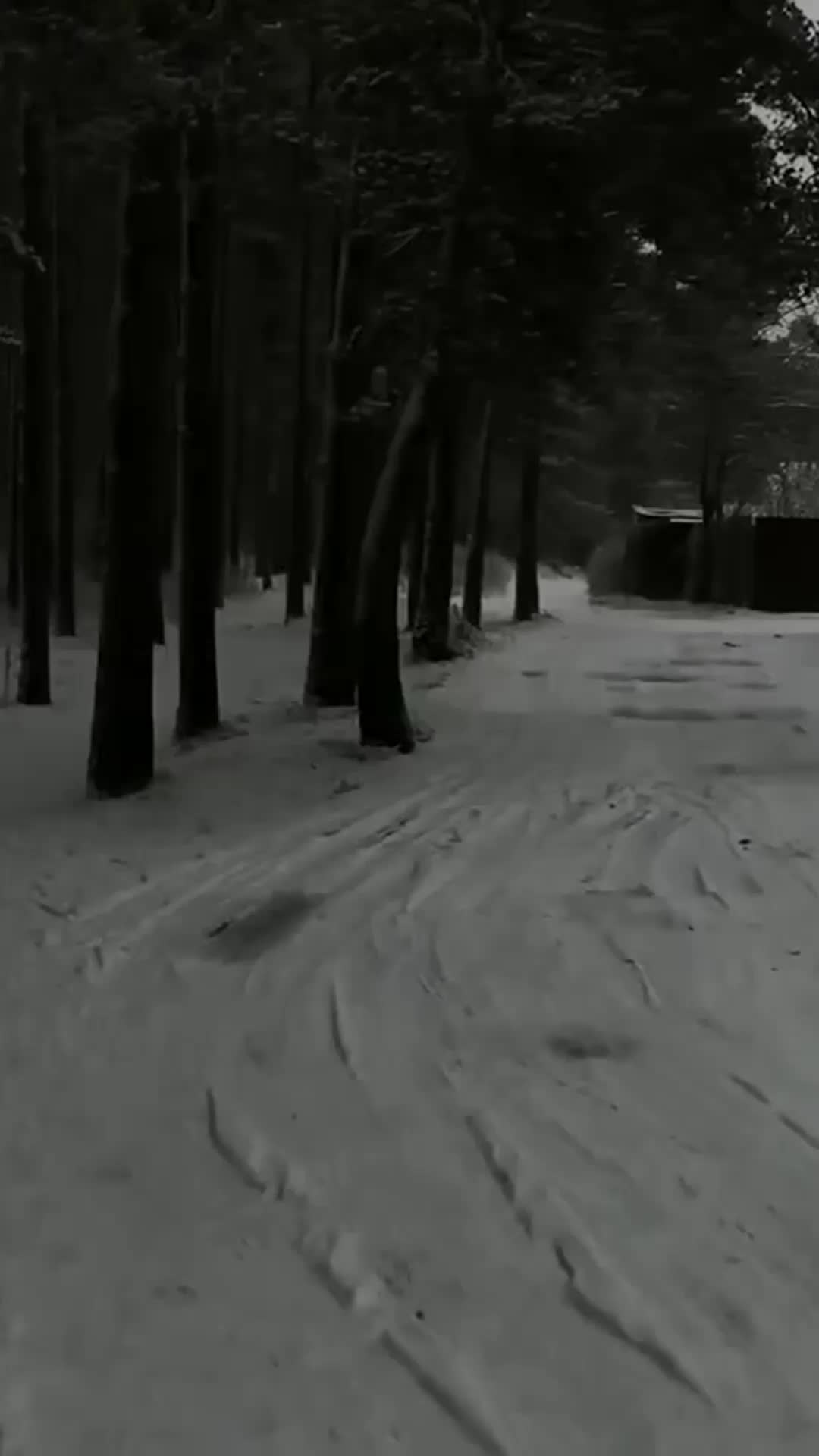 @hefxtom24433464