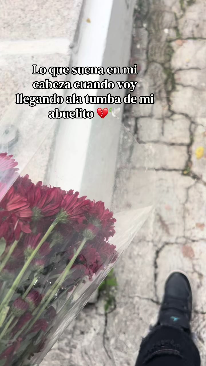 @Celeste Gnz
