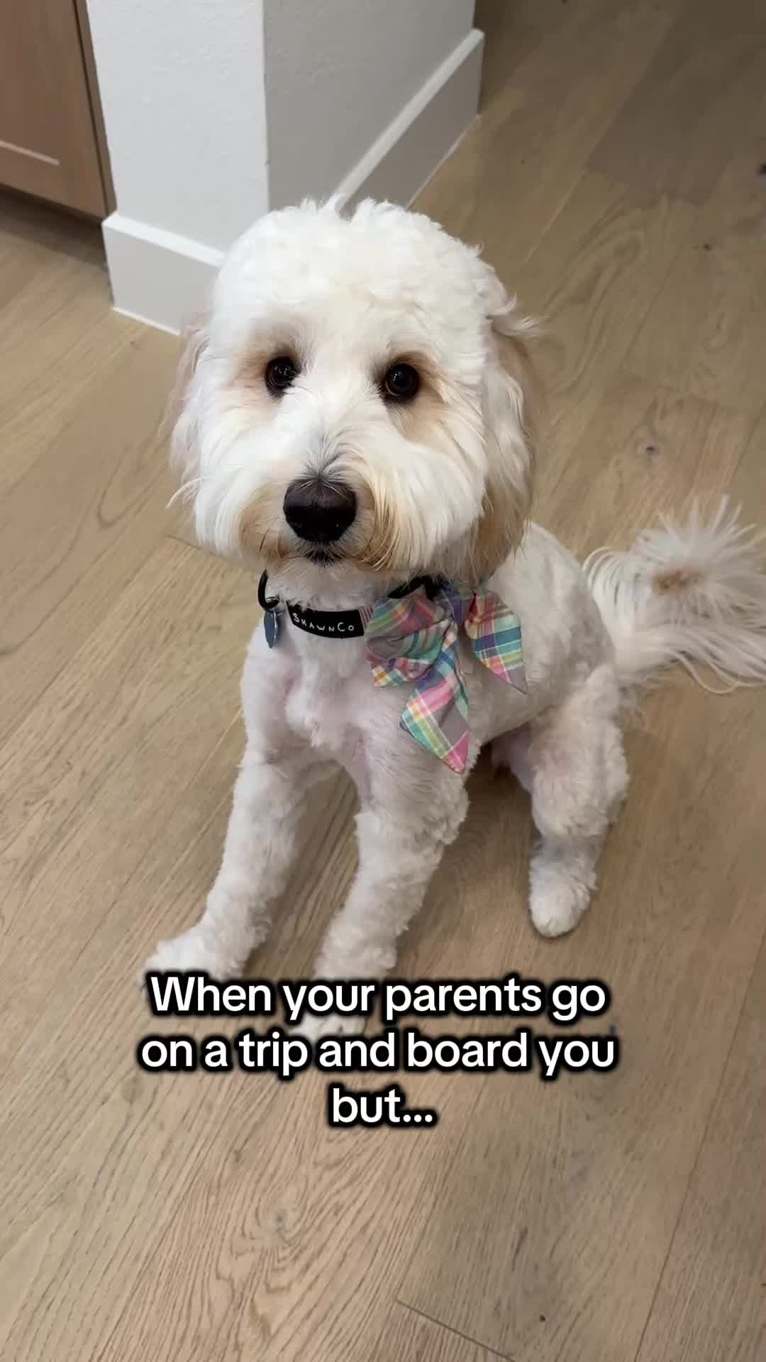 @Lily and Mom