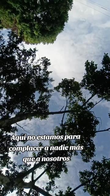 @PKS03 🦋Linda