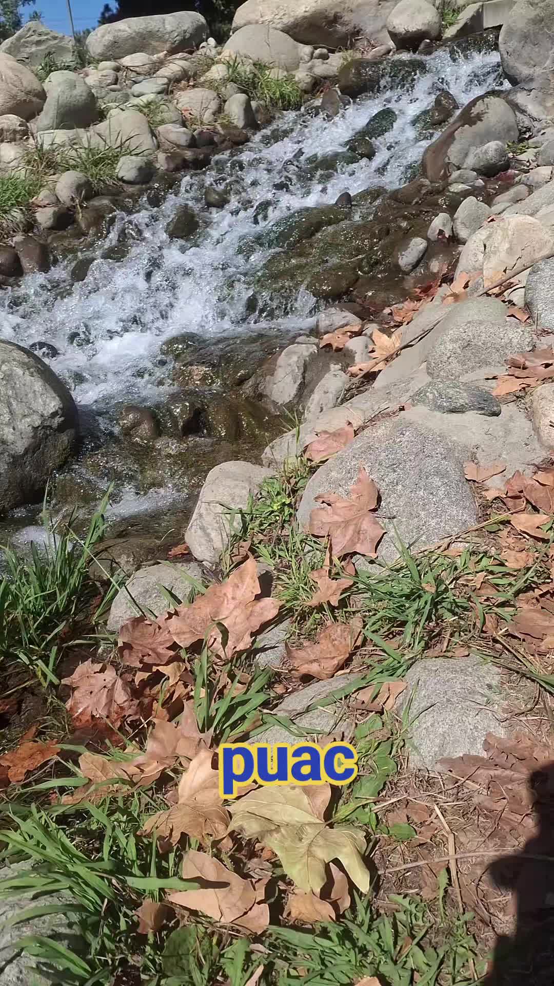@puac