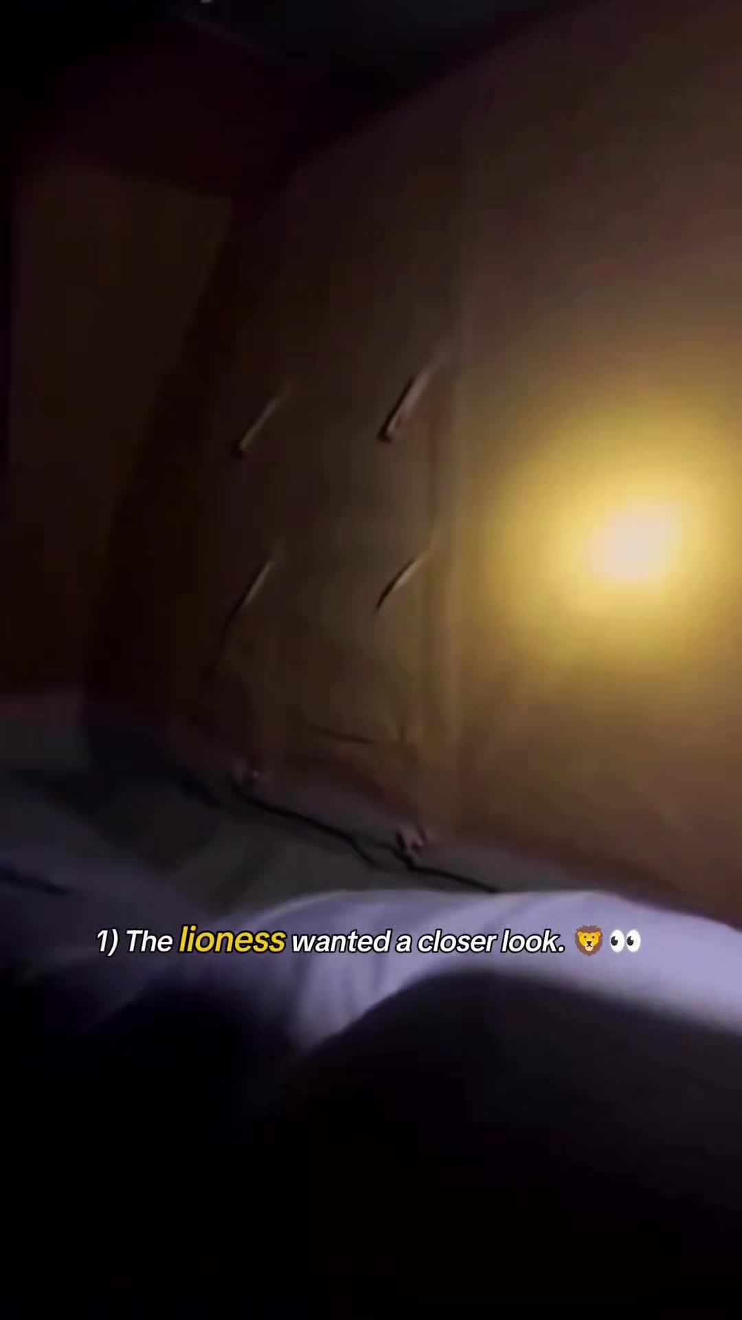 @WildwonderzZzz