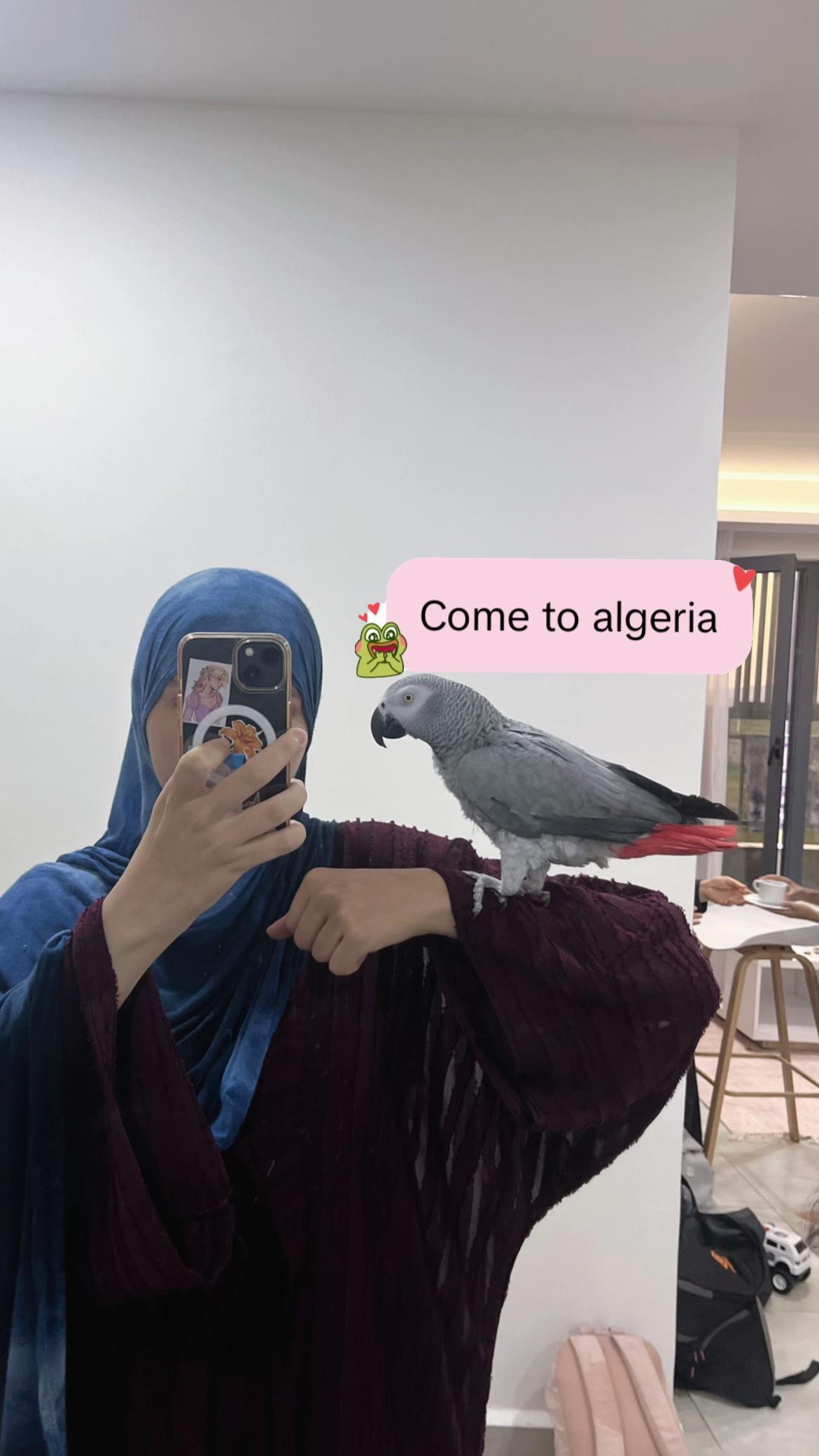 @جِـهادᥫ᭡.