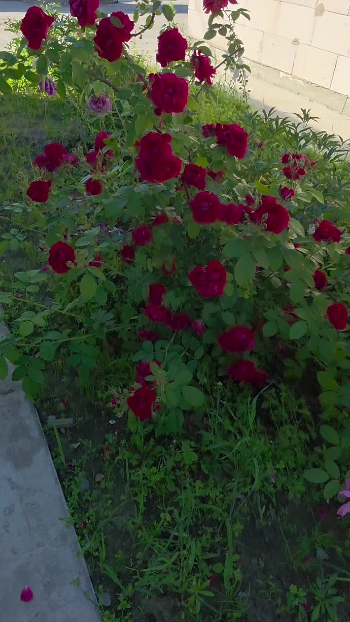 @Олег Сахаров