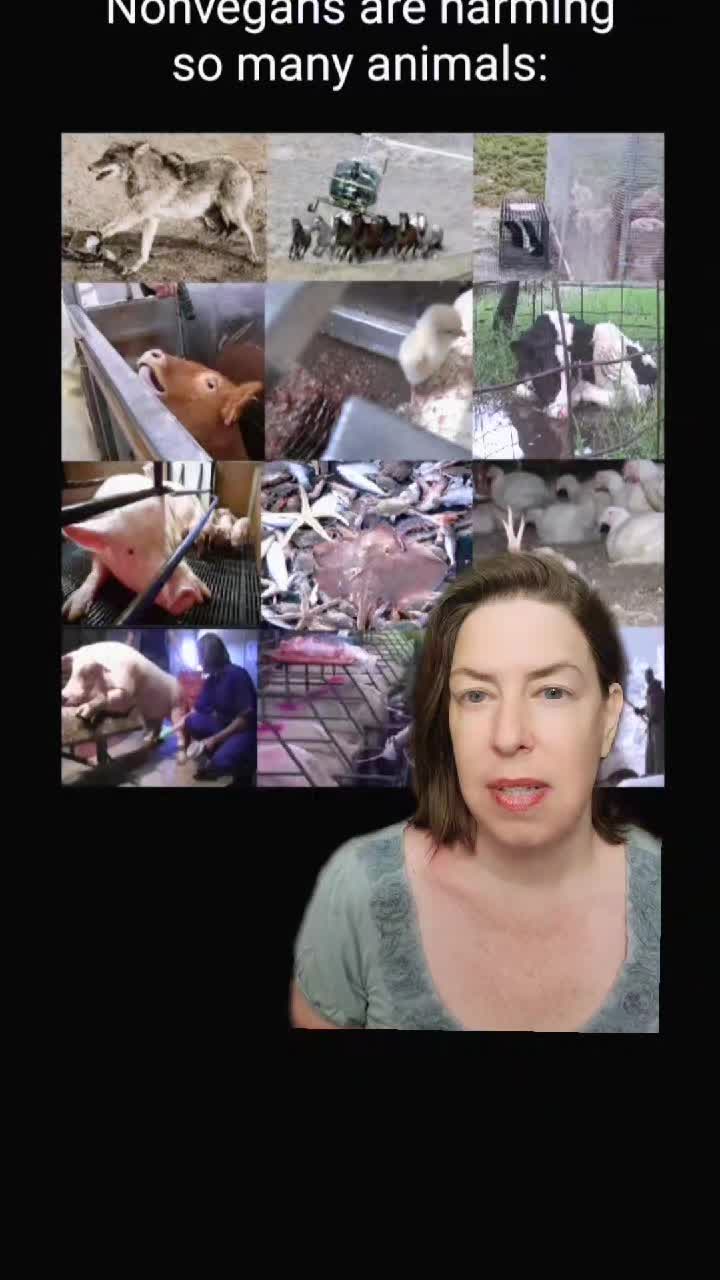 @Khaby Go Vegan