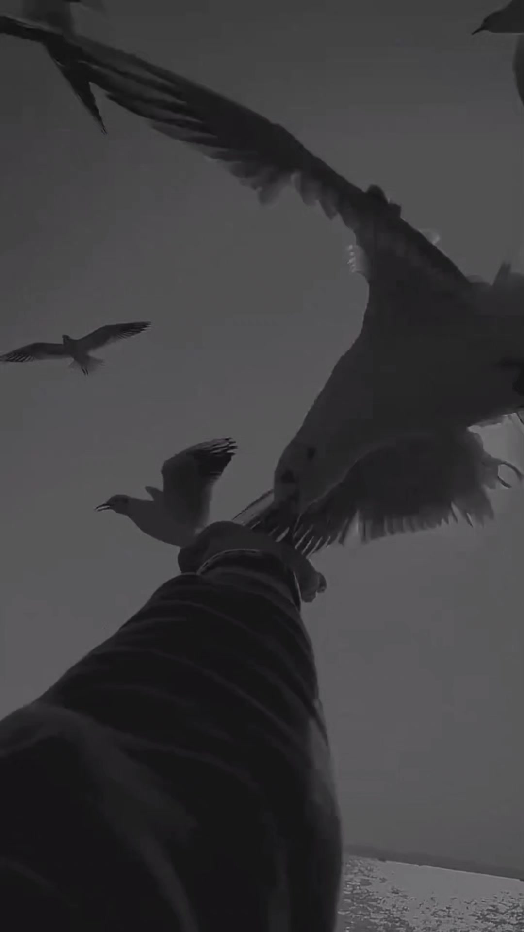 @𝐶𝑒𝑦𝑙𝑎𝑛