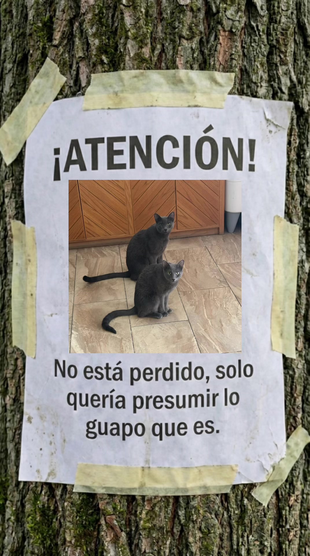 @Paco