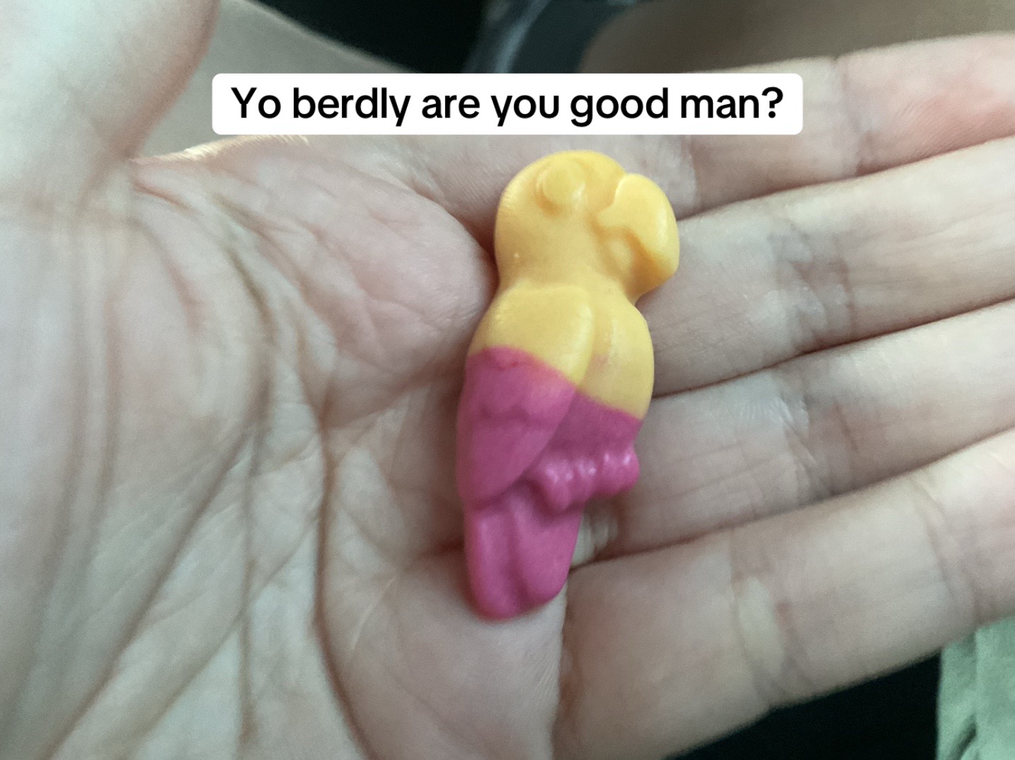 @TotallyNotAFanPage