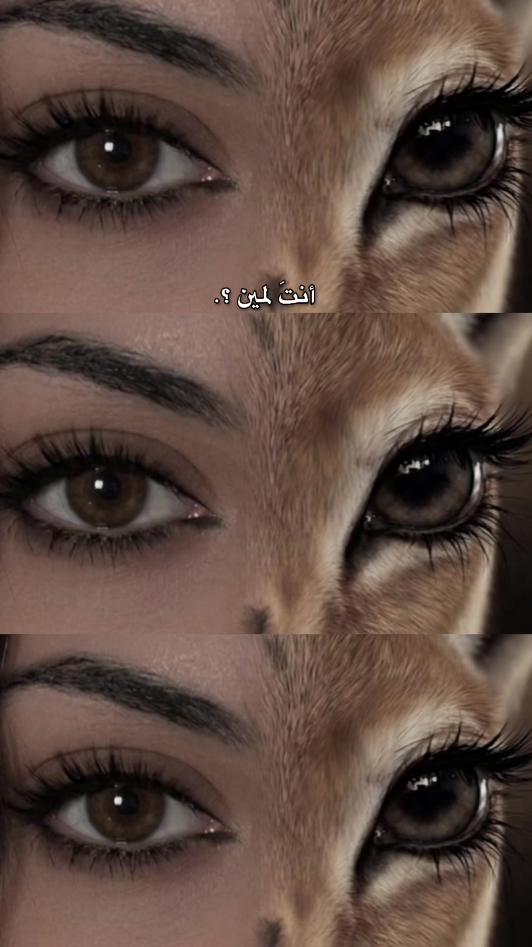 @الذيبه الربداويه🦅