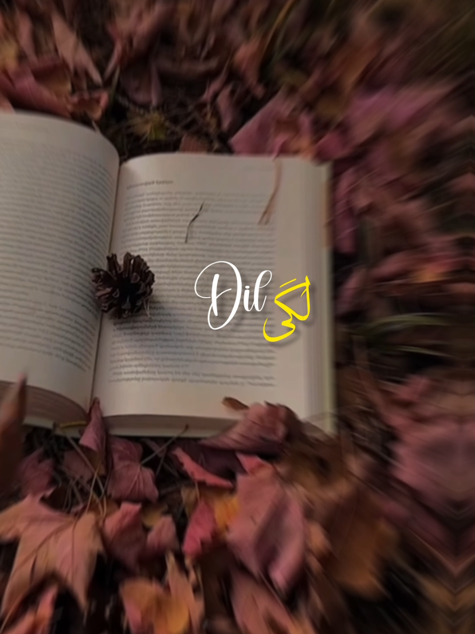 @𝙄 𝙕 𝙕 𝘼 𝙃 🕊️&bull;