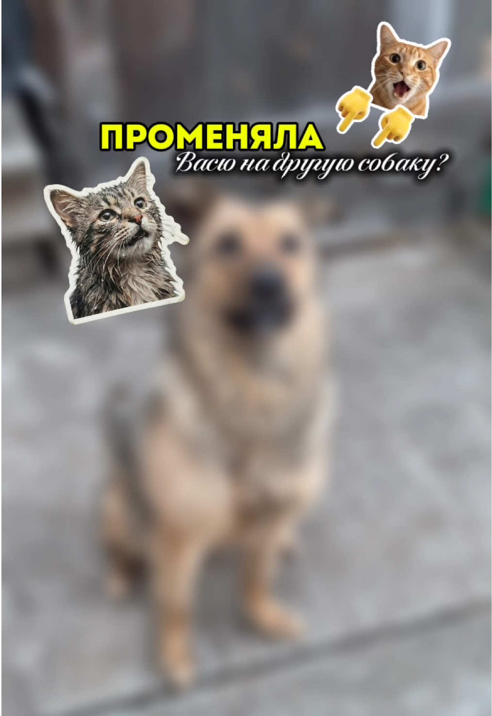 @Букашечка🐞
