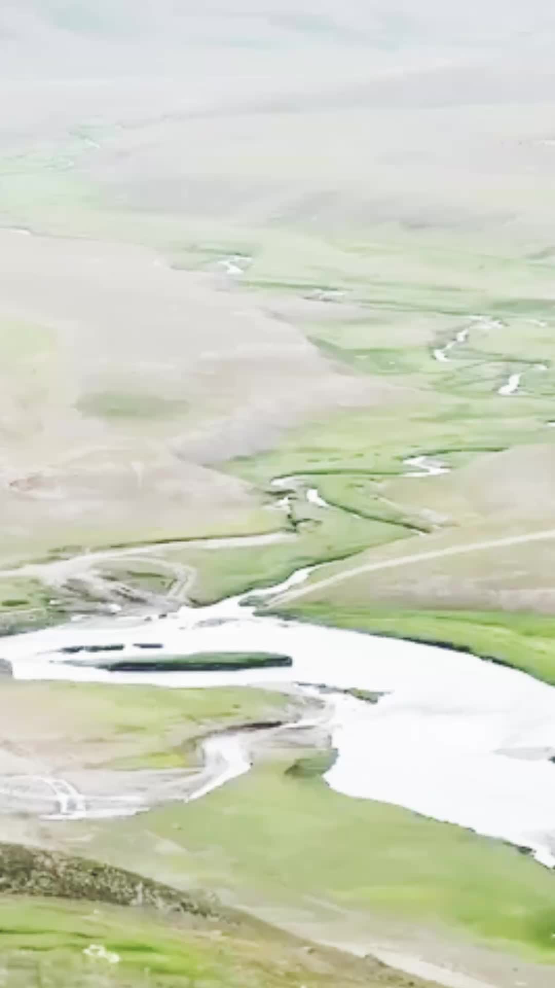 @بام_دنیا