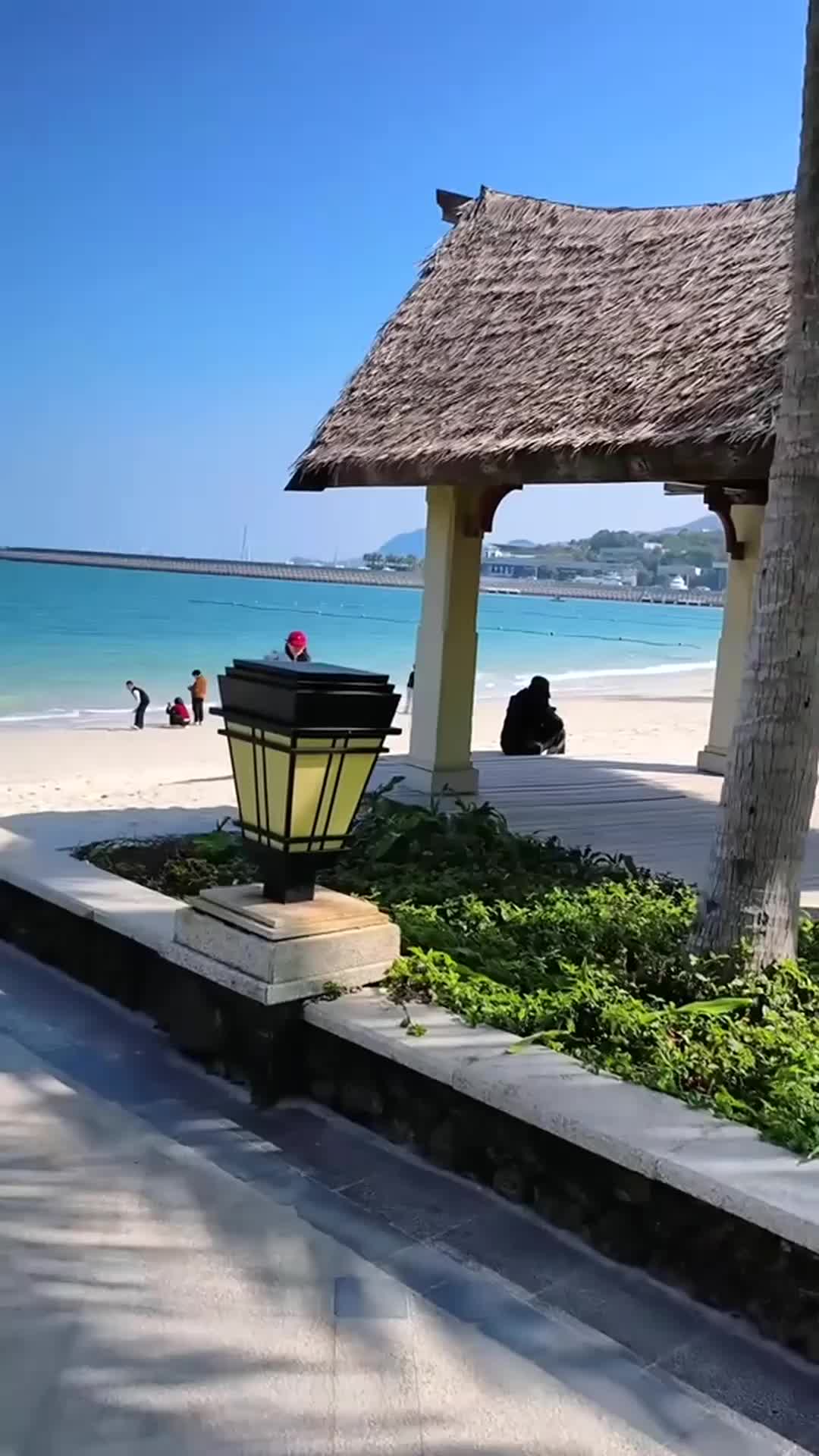 @alnxsssss82267600