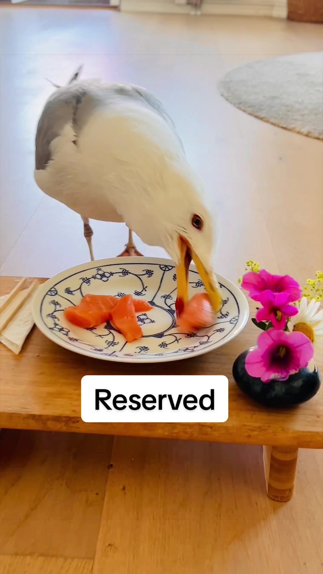 @Winston gull