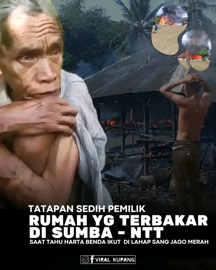 @Viral Kupang