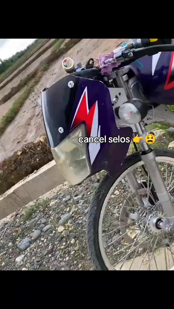 @El_purple