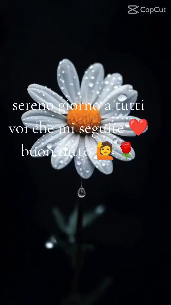 @Silvyia0244