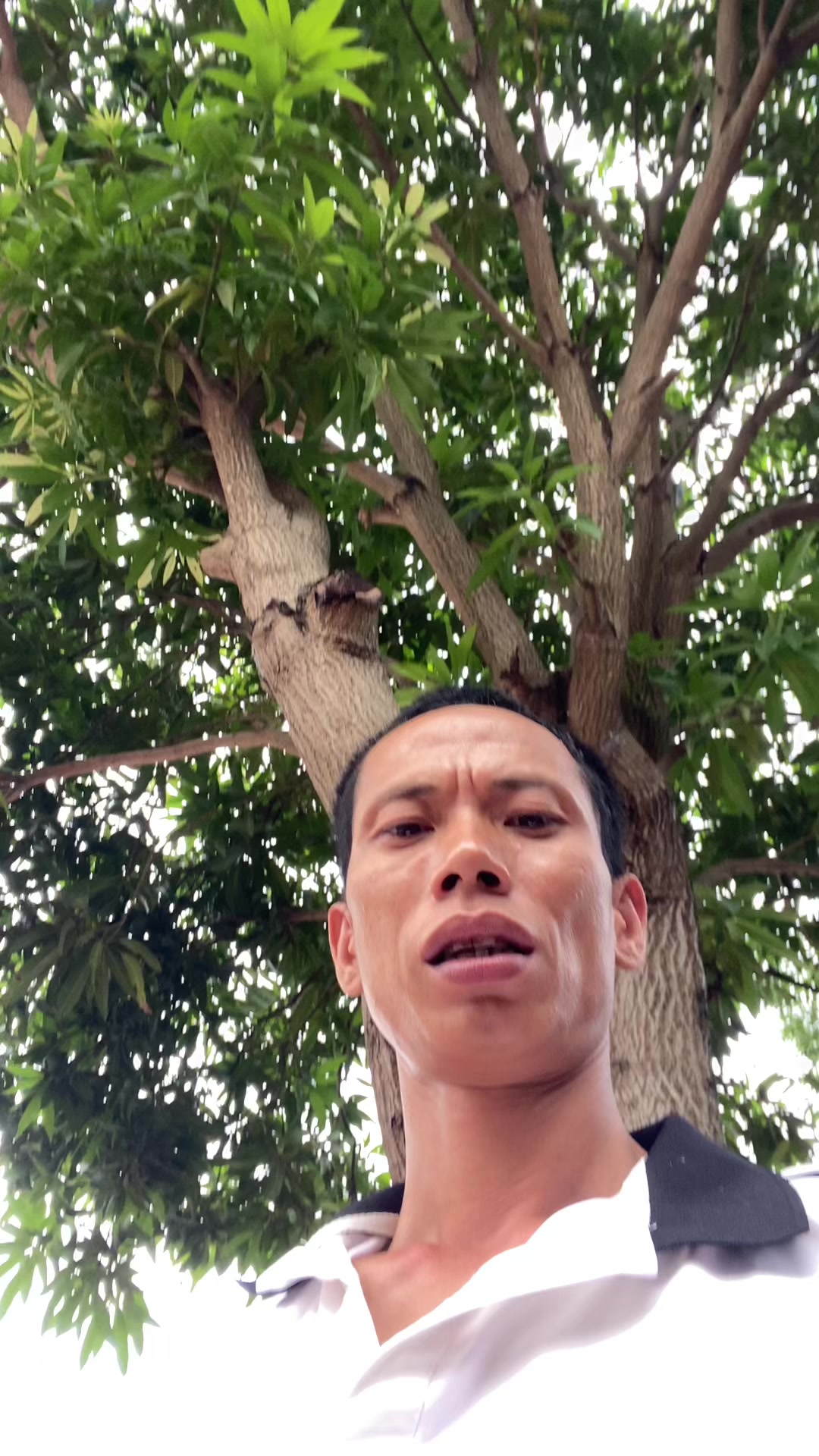 @Hiệp thanh hà