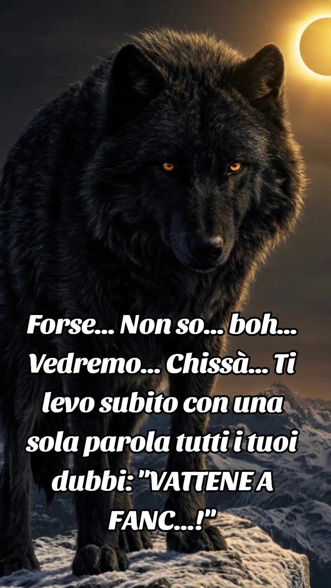 @🐺🗽Crazy Wolf.
