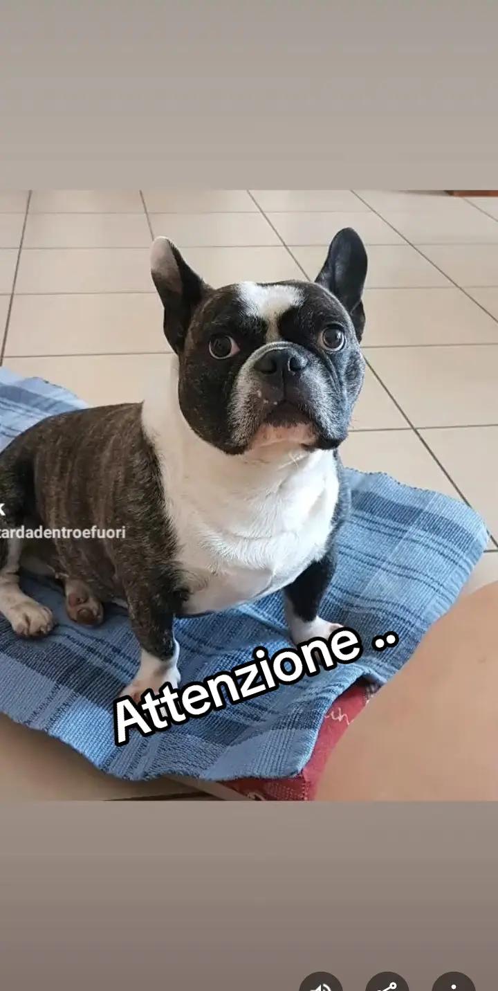 @🐞Patty.numero1🐞