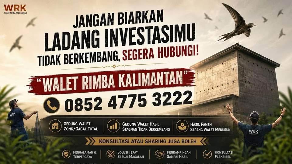 @Walet Rimba Kalimantan