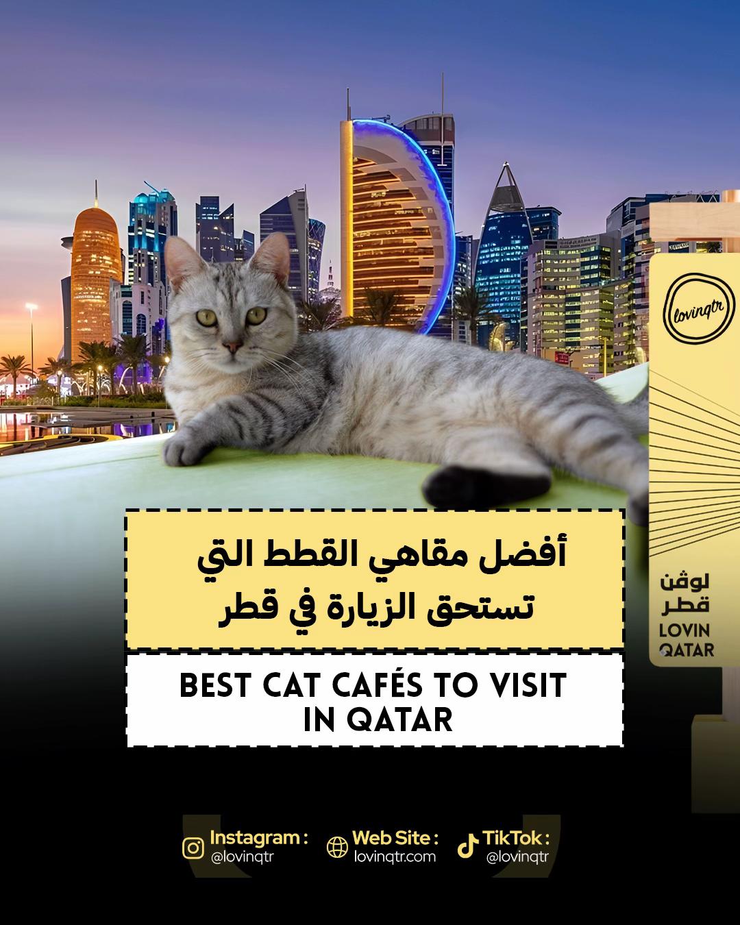 @Lovin Qatar | لوڤن قطر