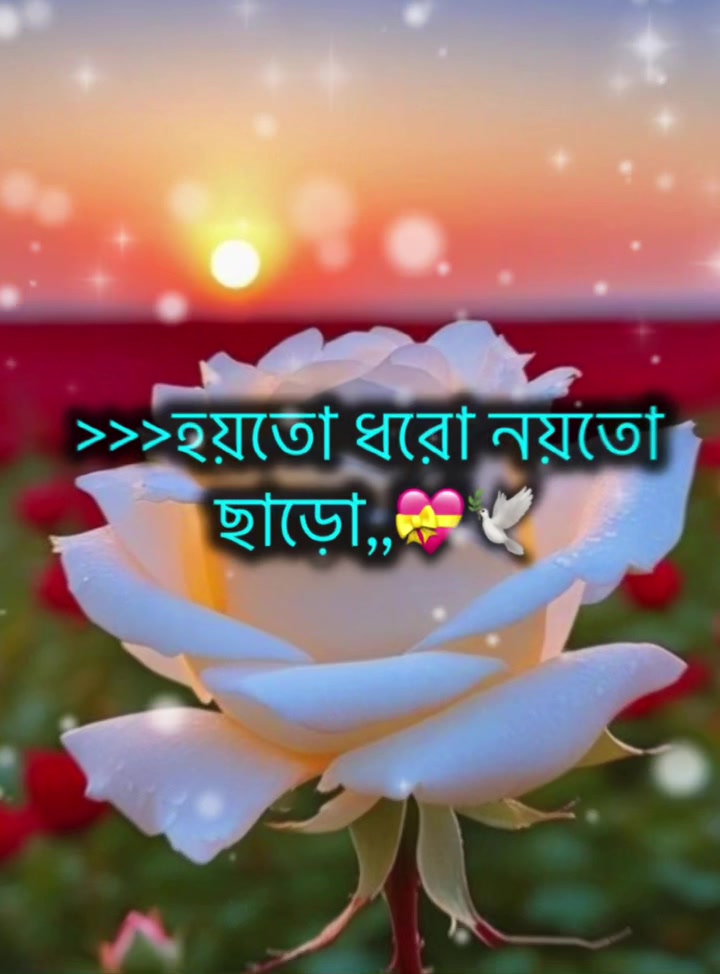 @Shahadat_Hossain
