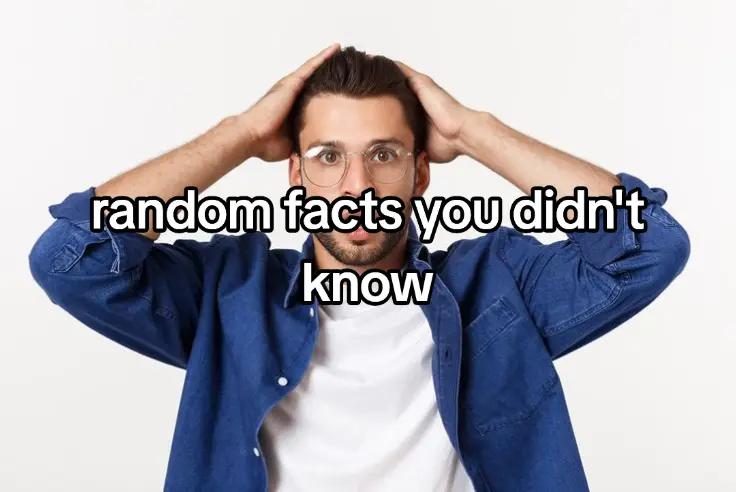@cockroach-p