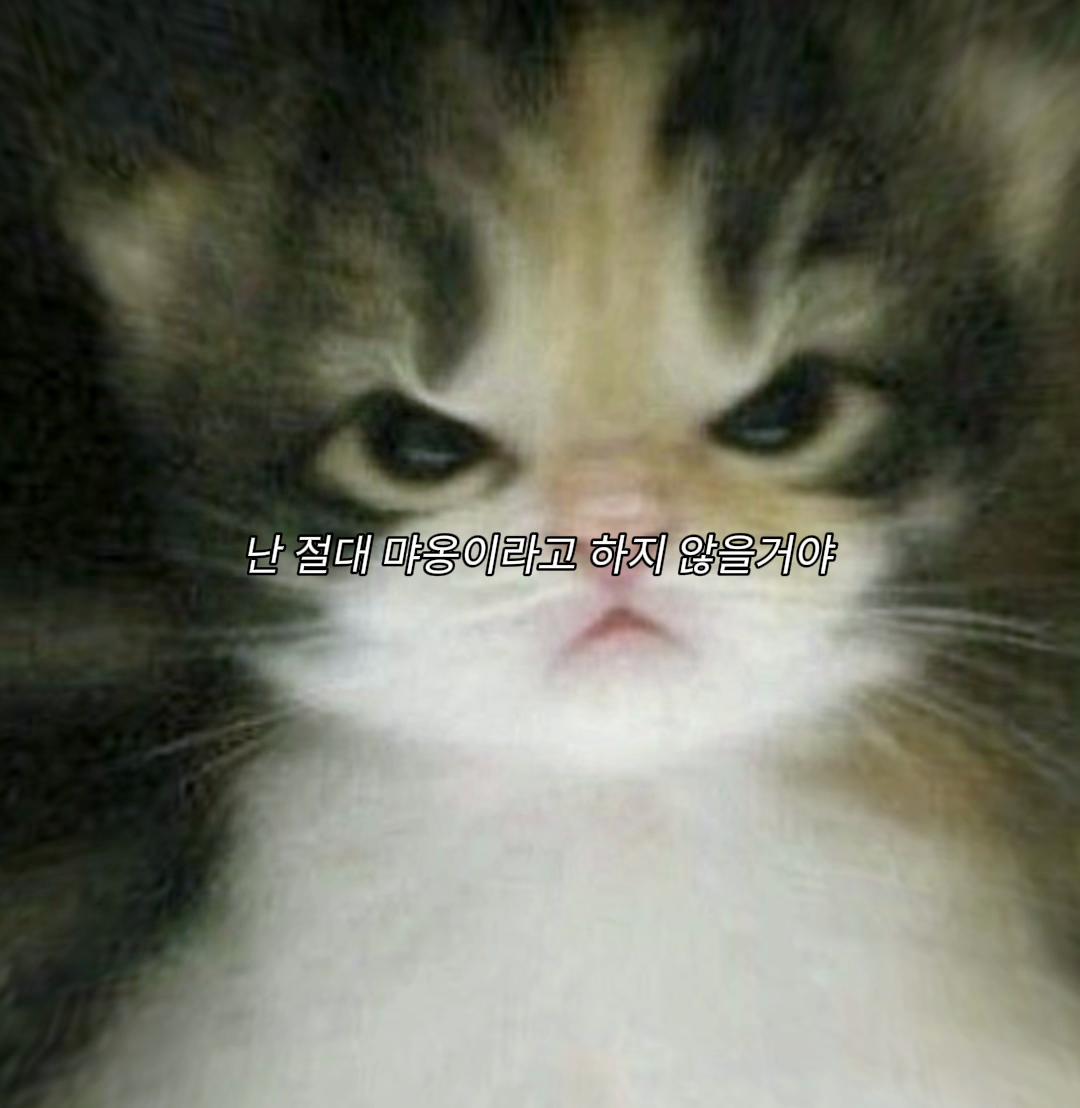 @크콩
