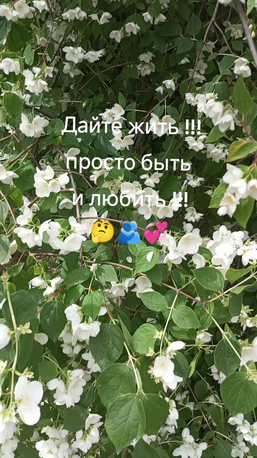 @Ангел дарит любовь