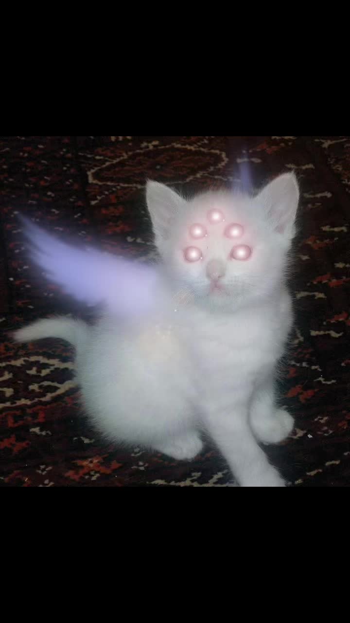 @alienprincessknight