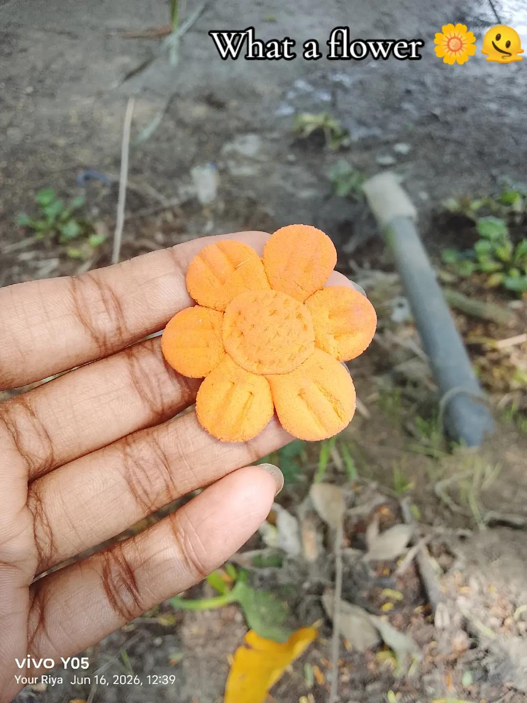 @-নমশূদ্রের সন্তান 🚩