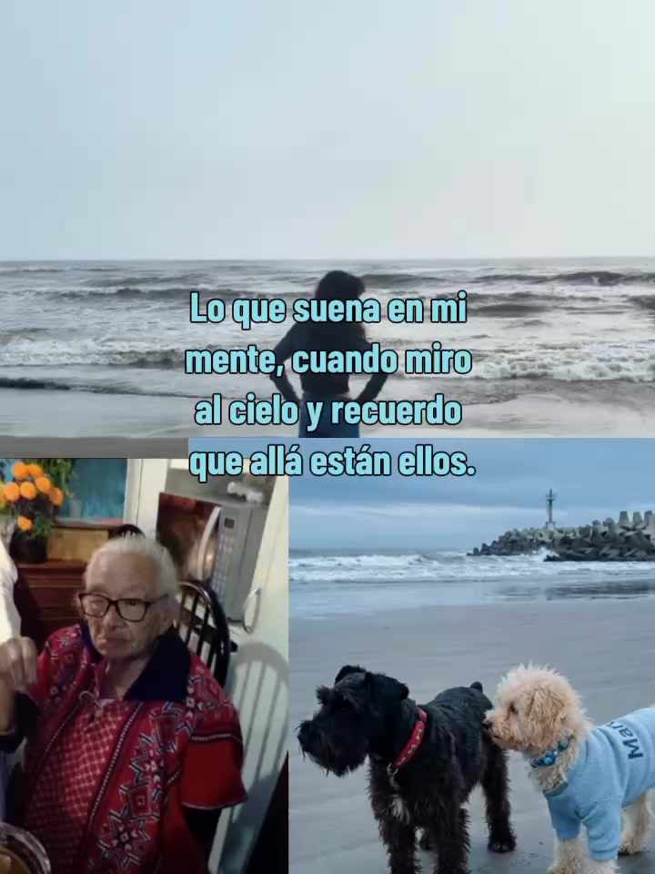 @Laura de los Perros
