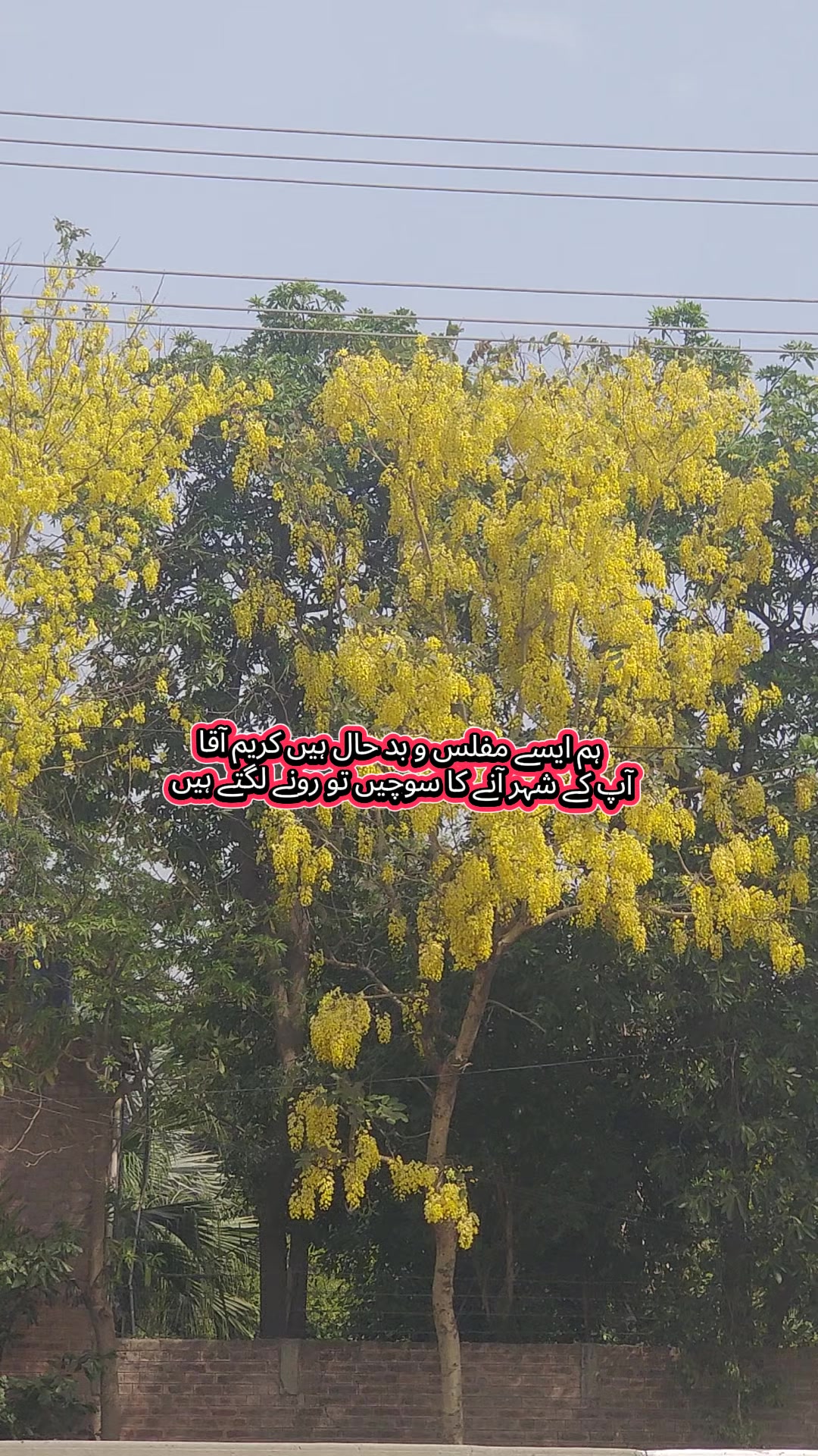 @warsiiibaba