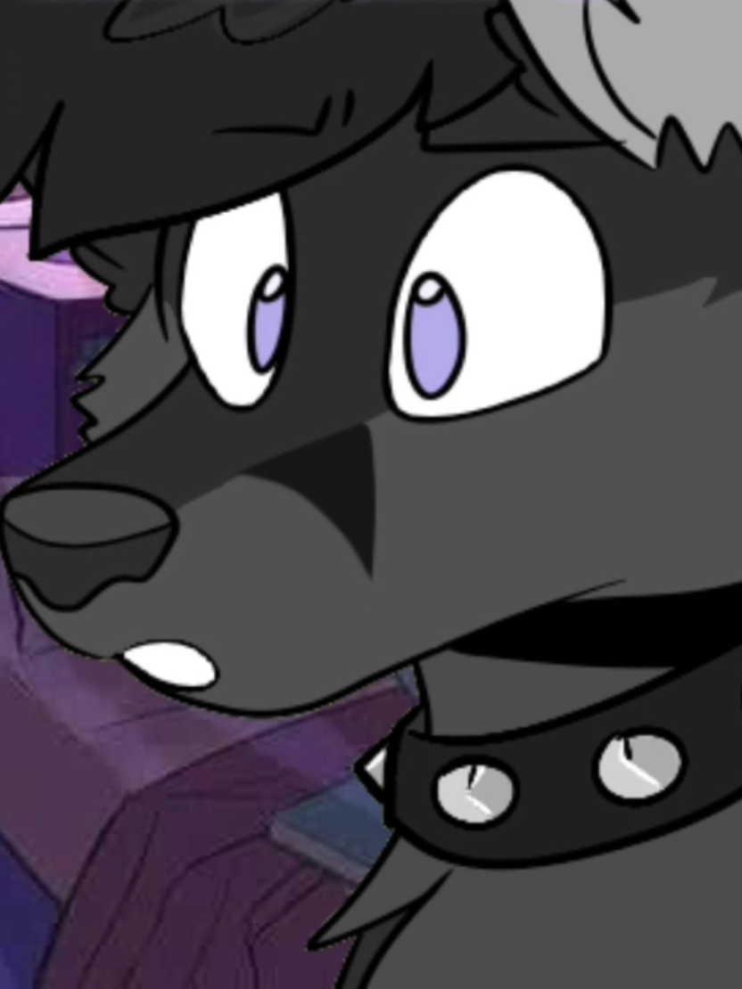 @💜Foxer🖤