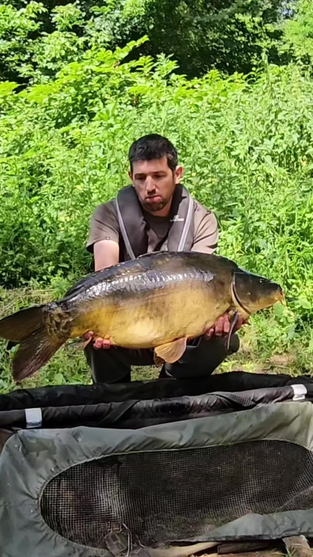 @Cedric_Ducere_starbaits