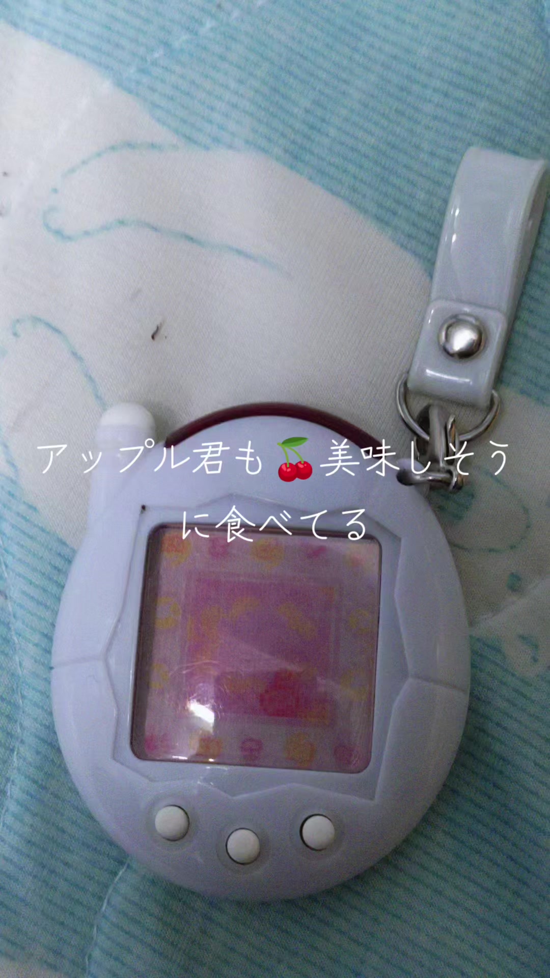 @スギマユ