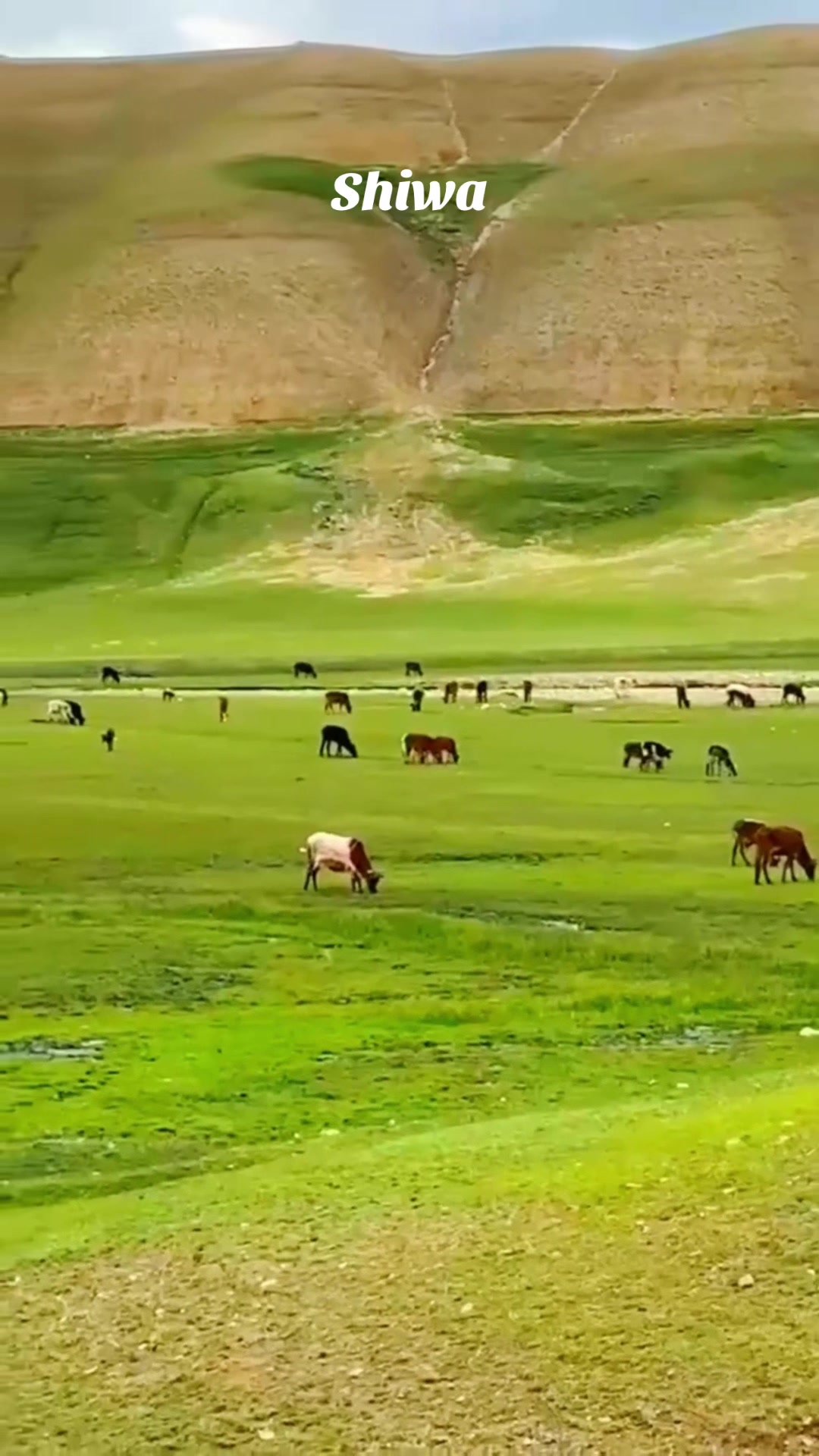 @بام_دنیا