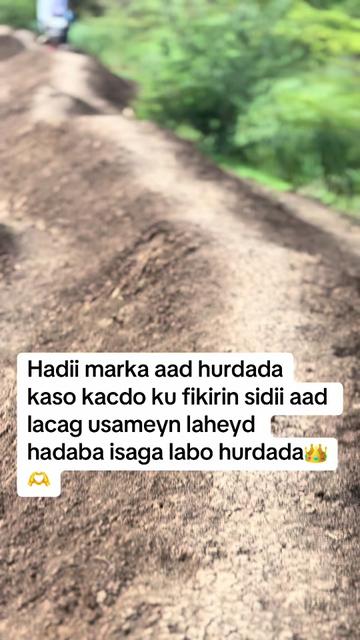 @🌍🌍ZEENAL FANI🇸🇴🦁☆