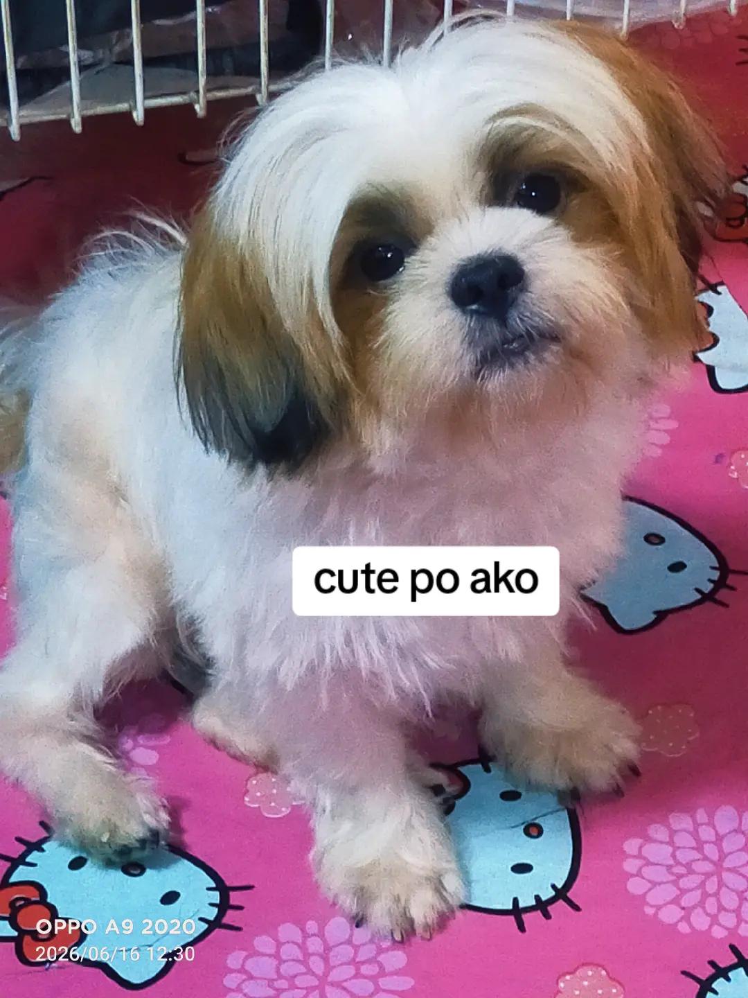 @Maggie Red