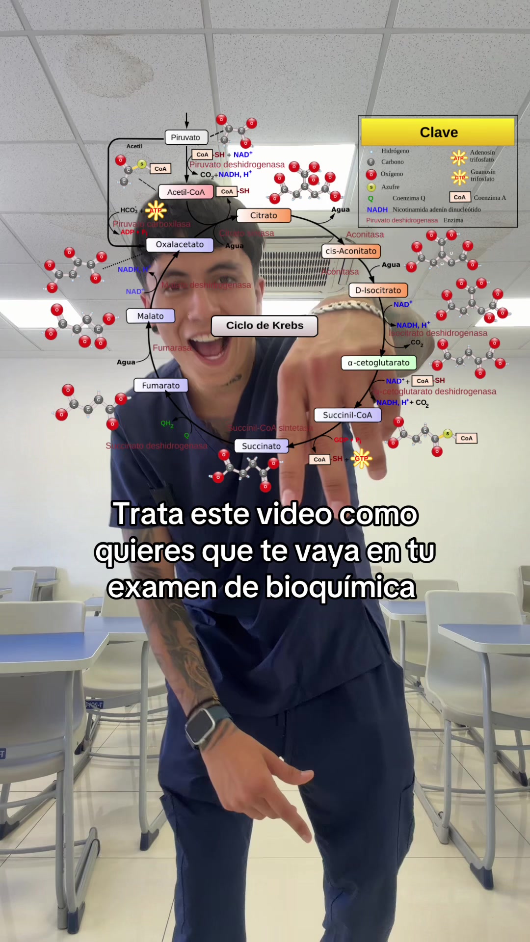 @ENDOBOY