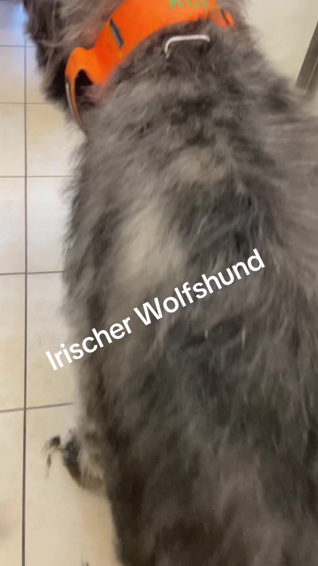 @Fellpflegerei Verena