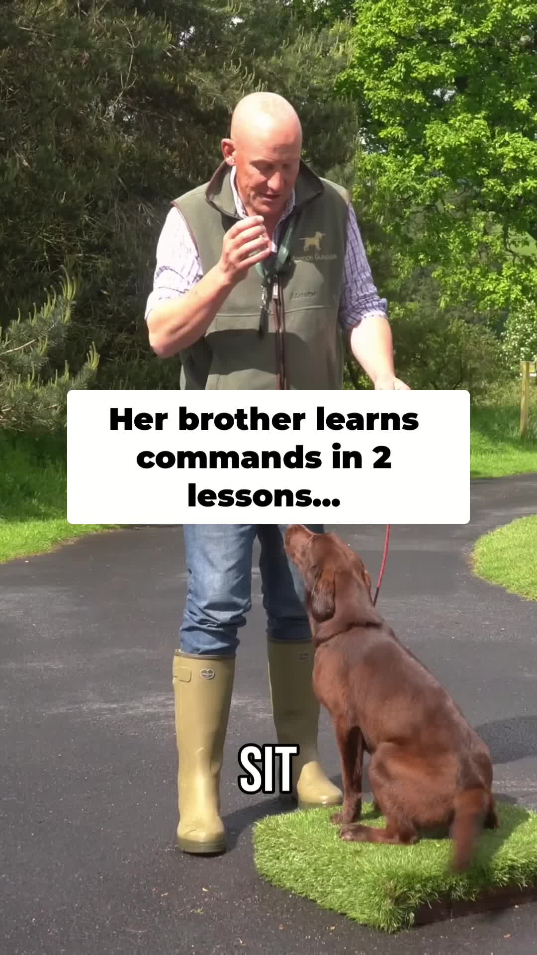 @Mordor Gundogs