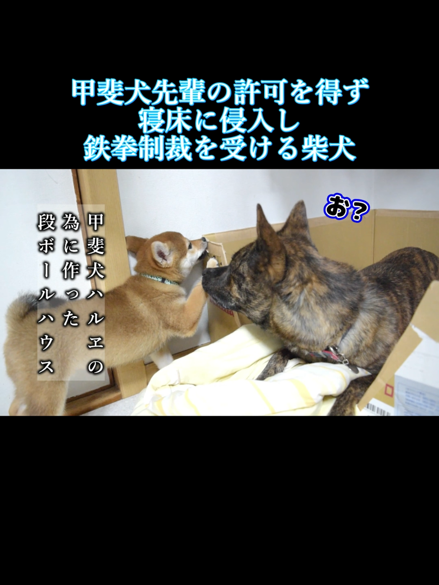 @川沿いに歩く妻サヲル
