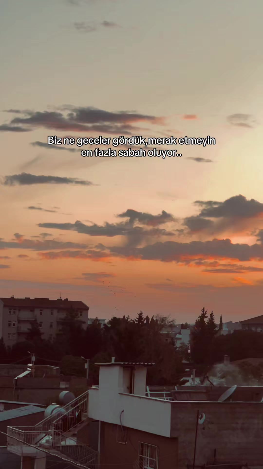 @𝘚𝘵𝘰𝘳𝘺 𝘚𝘢𝘺𝘧𝘢𝘮💫