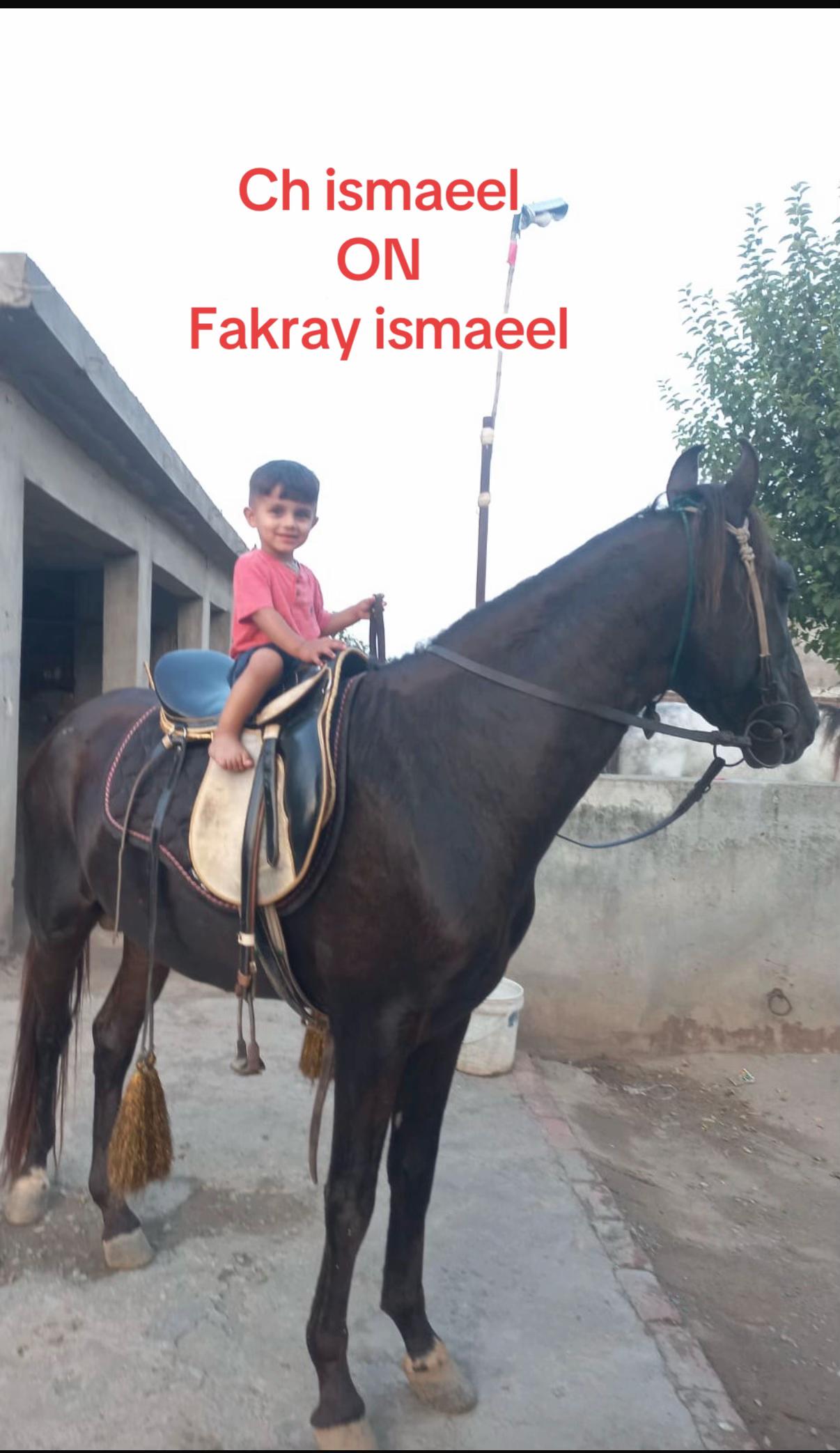 @IMRAN GUJJAR