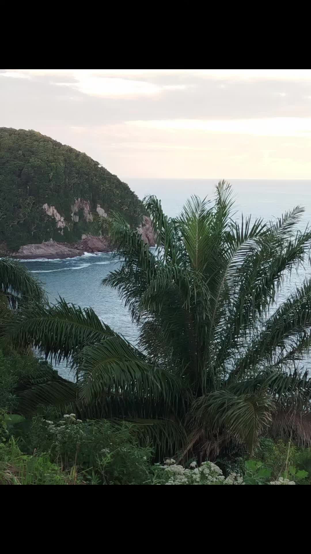 @Nádia