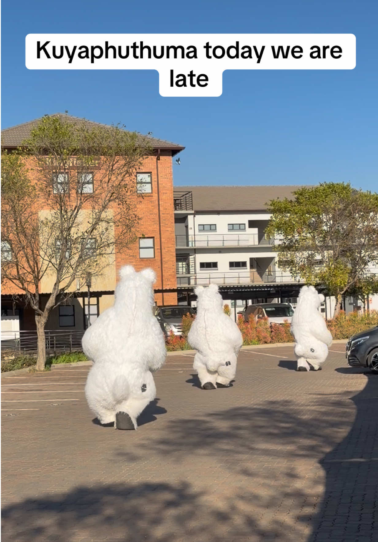 @dancingmascotssa