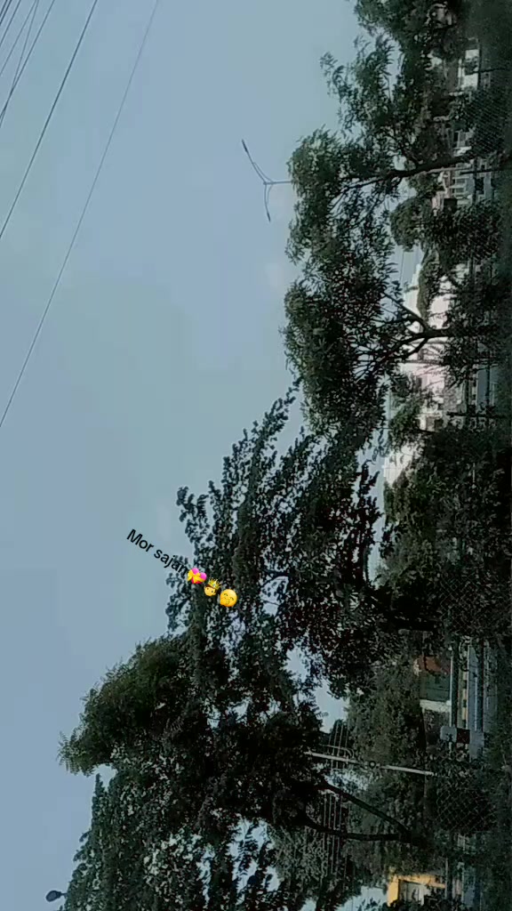 @Parajapati ji ki Rani👸