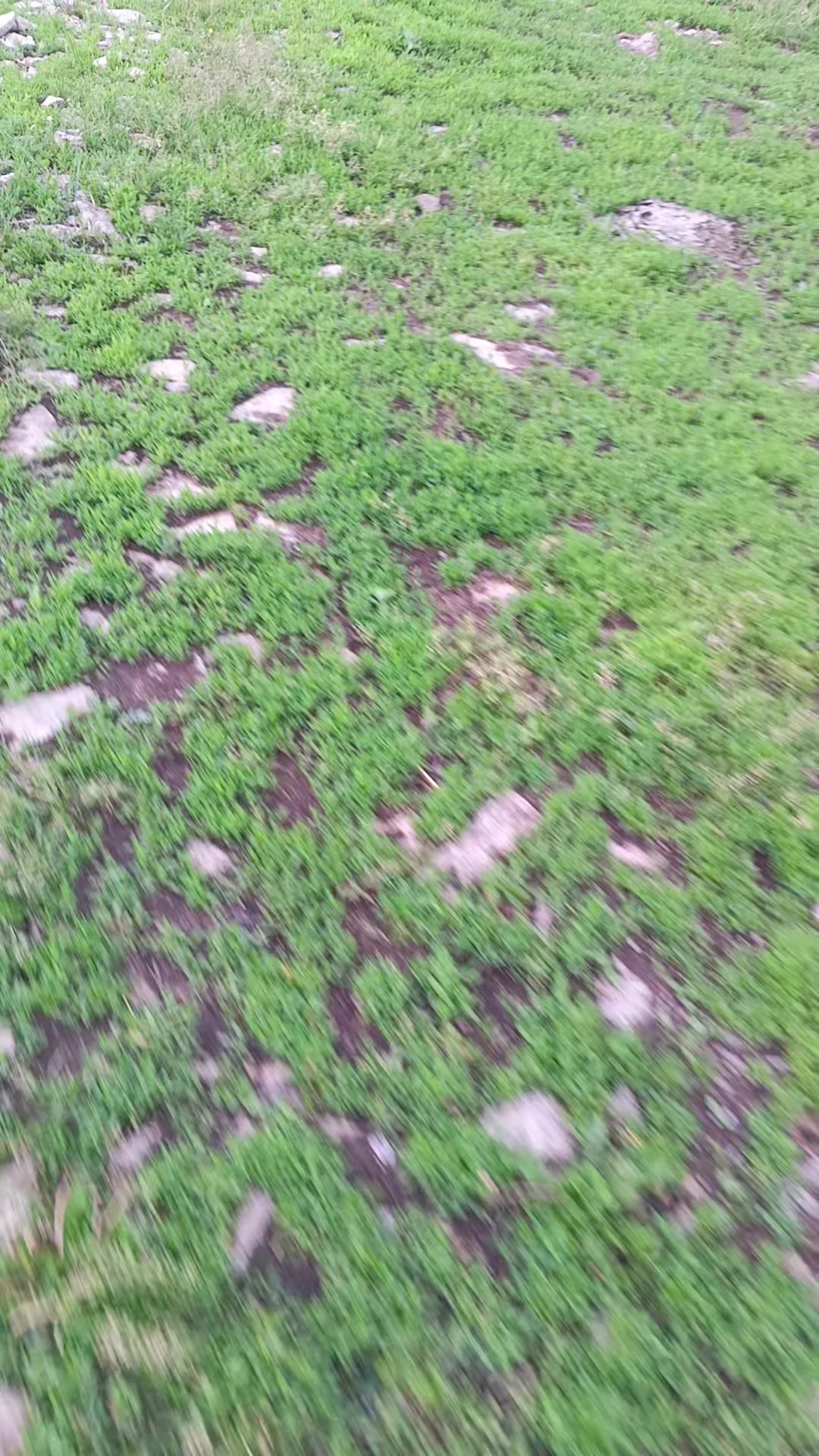 @Алёнушка